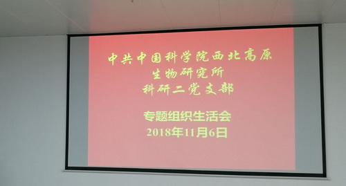 香港内部信封料一码