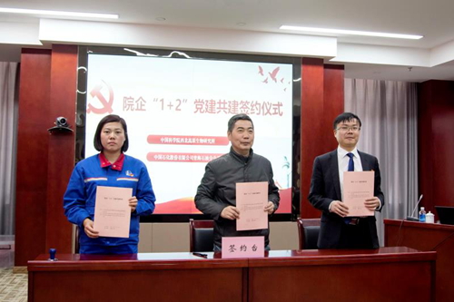 香港内部信封料一码
