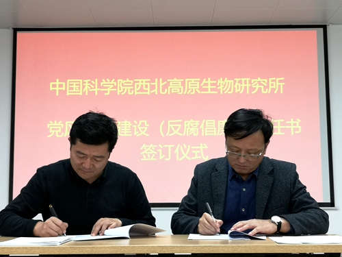 香港内部信封料一码