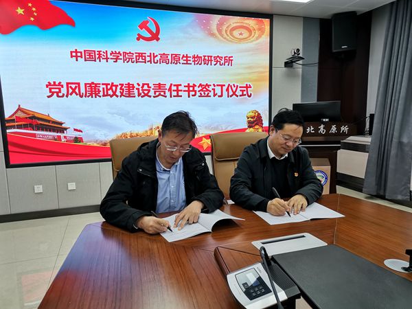 香港内部信封料一码
