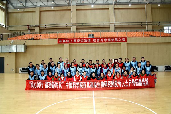 香港内部信封料一码
