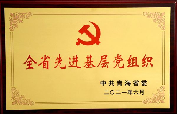 香港内部信封料一码