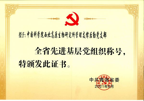 香港内部信封料一码