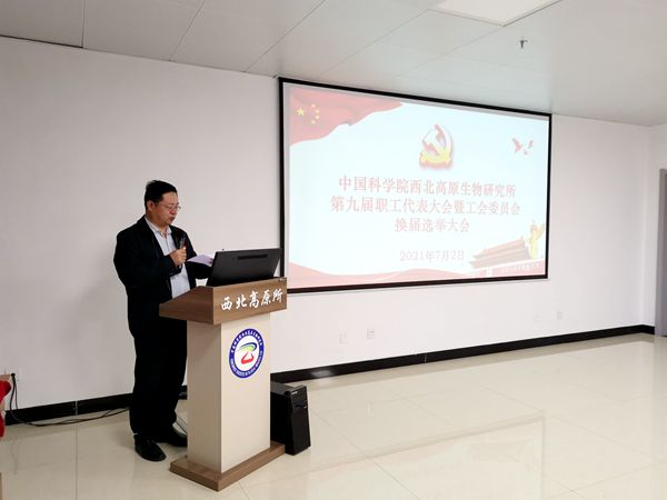 香港内部信封料一码