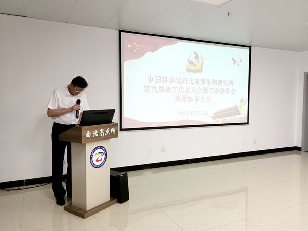 香港内部信封料一码