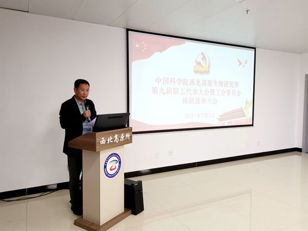 香港内部信封料一码