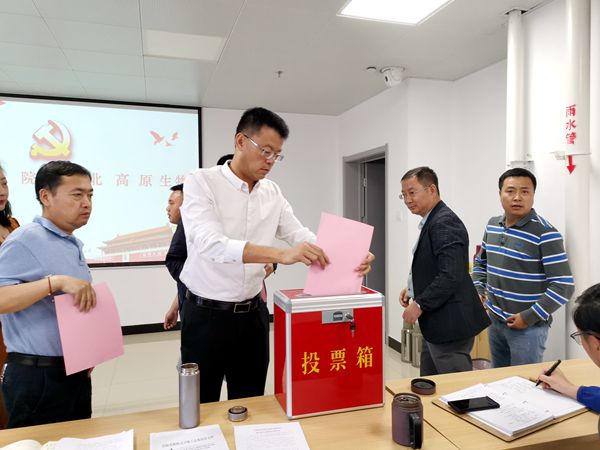 香港内部信封料一码