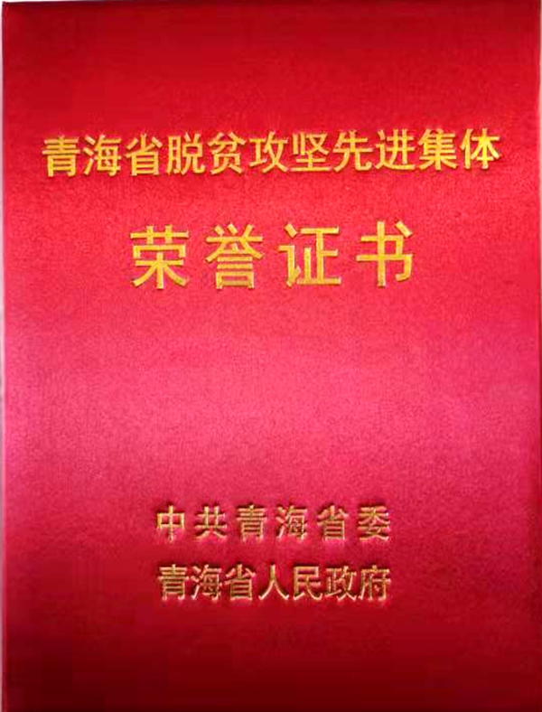 香港内部信封料一码