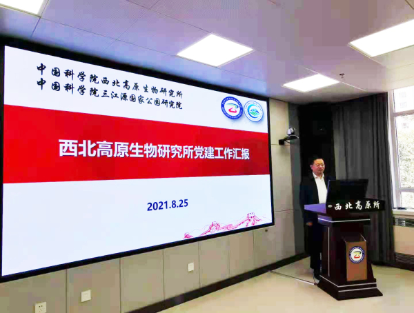 香港内部信封料一码