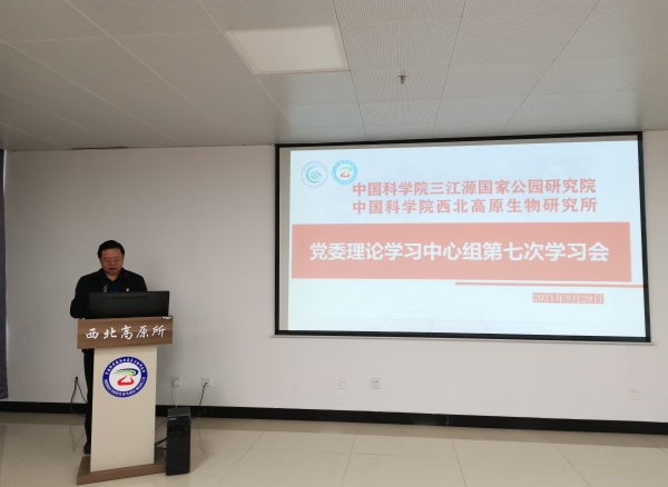 香港内部信封料一码