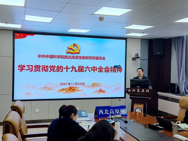 香港内部信封料一码