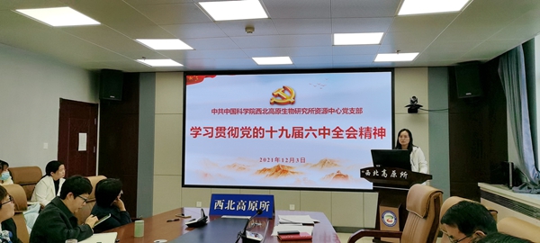 香港内部信封料一码