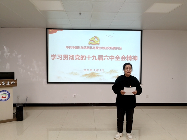 香港内部信封料一码