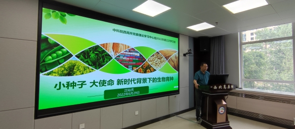 香港内部信封料一码