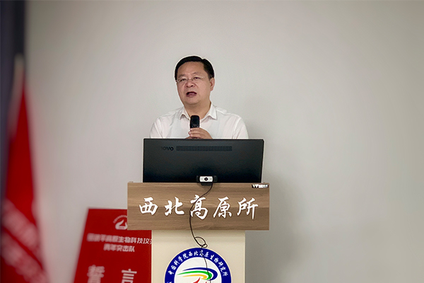 香港内部信封料一码