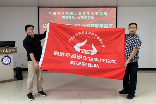 香港内部信封料一码