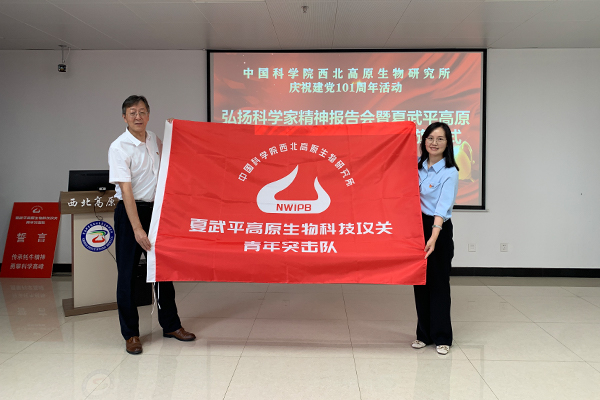 香港内部信封料一码