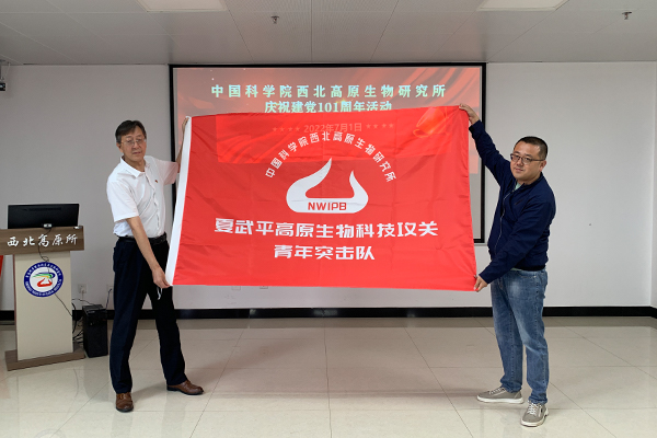 香港内部信封料一码