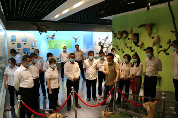 香港内部信封料一码