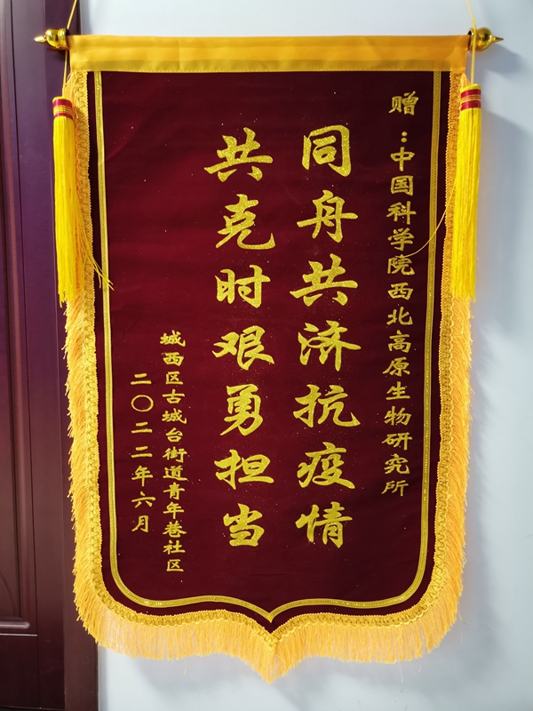 香港内部信封料一码