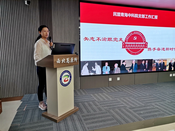 香港内部信封料一码