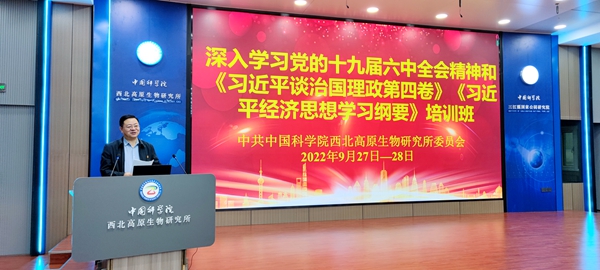 香港内部信封料一码