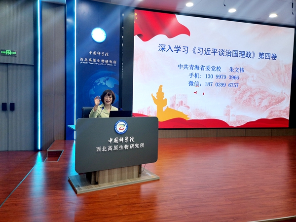 香港内部信封料一码