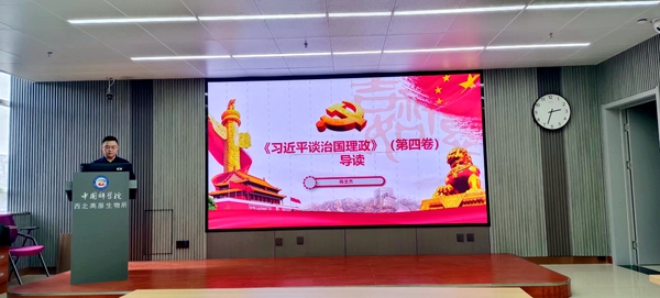 香港内部信封料一码