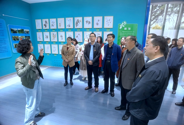 香港内部信封料一码