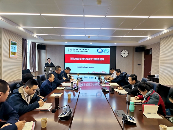 香港内部信封料一码