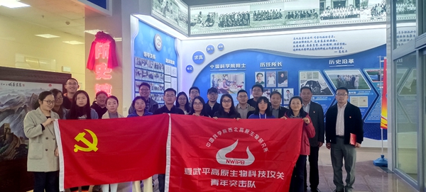 香港内部信封料一码