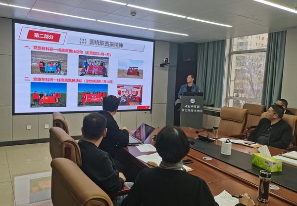 香港内部信封料一码