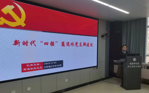 香港内部信封料一码