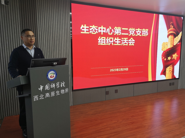 香港内部信封料一码