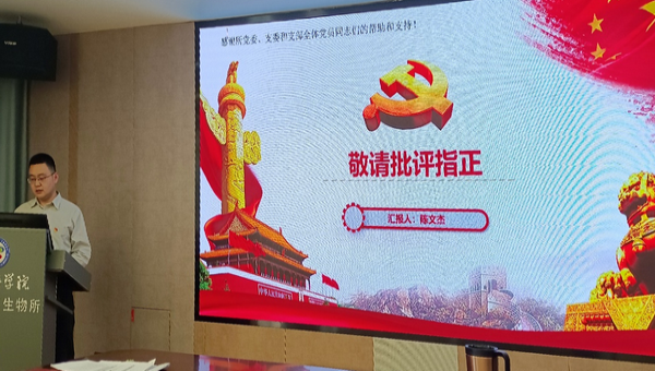 香港内部信封料一码