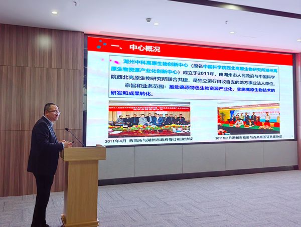 香港内部信封料一码
