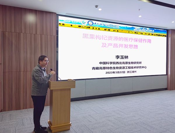 香港内部信封料一码