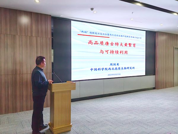 香港内部信封料一码