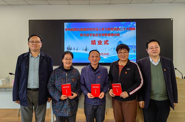 香港内部信封料一码