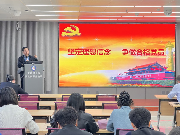 香港内部信封料一码