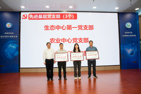 香港内部信封料一码