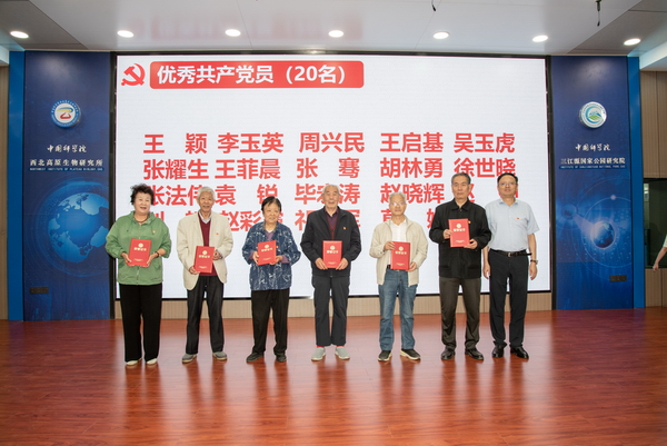 香港内部信封料一码
