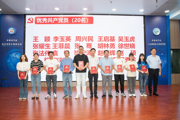 香港内部信封料一码