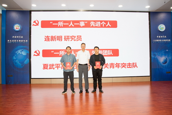 香港内部信封料一码