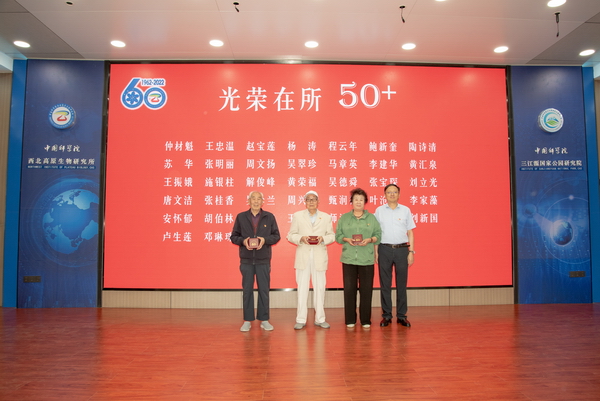 香港内部信封料一码