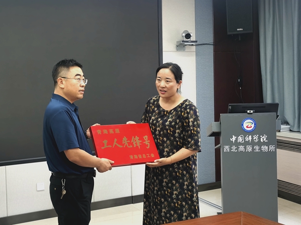 香港内部信封料一码