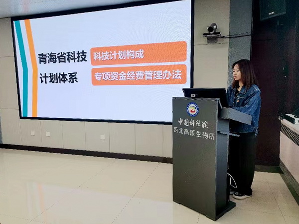 香港内部信封料一码