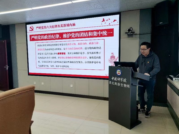 香港内部信封料一码