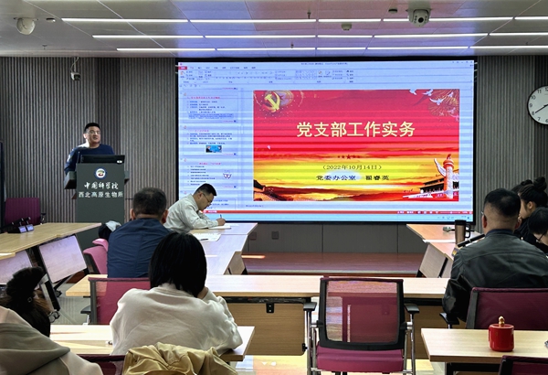 香港内部信封料一码
