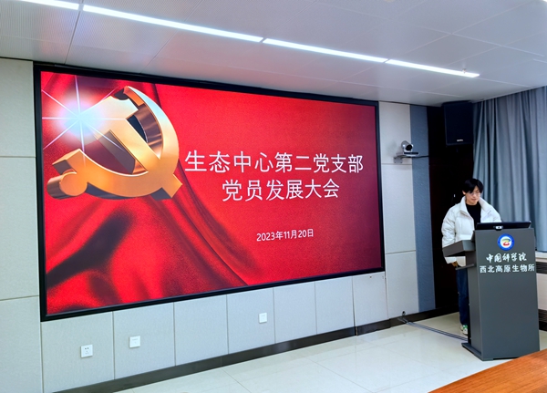 香港内部信封料一码